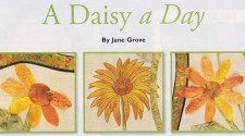 A Daisy a Day